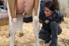 January 10, 2025: Senator Patty Kim attends the 2025 Farm Show and participates in the Celebrity Cow Milking Contest.