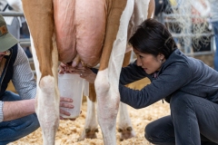 January 10, 2025: Senator Patty Kim attends the 2025 Farm Show and participates in the Celebrity Cow Milking Contest.