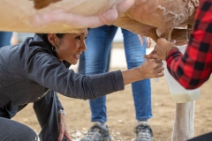 January 10, 2025: Senator Patty Kim attends the 2025 Farm Show and participates in the Celebrity Cow Milking Contest.