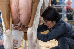 January 10, 2025: Senator Patty Kim attends the 2025 Farm Show and participates in the Celebrity Cow Milking Contest.
