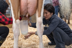 January 10, 2025: Senator Patty Kim attends the 2025 Farm Show and participates in the Celebrity Cow Milking Contest.