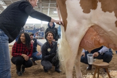 January 10, 2025: Senator Patty Kim attends the 2025 Farm Show and participates in the Celebrity Cow Milking Contest.