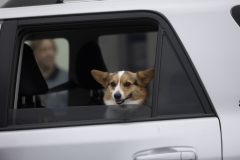 May 03, 2025: Senator Kim hosts Shredding Event