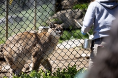 ZooAmerica Tour